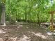 Backyard with mature trees and lush greenery, featuring a pergola and fence at 406 Wilcrest Dr, Matthews, NC 28105