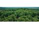 Aerial view of the property surrounded by a canopy of lush, green trees and rolling hills at 5611 Charter Oaks Ln, York, SC 29745