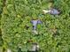 Aerial view of a home, pool, and driveway all surrounded by mature trees at 5611 Charter Oaks Ln, York, SC 29745