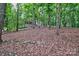Picturesque wooded backyard with mature trees, natural rock accents, and serene views of the home at 5611 Charter Oaks Ln, York, SC 29745
