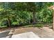 Large backyard featuring mature trees and lush landscaping for privacy at 7916 Wellston Dr, Charlotte, NC 28210