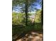 Scenic view of a lake accessible by an elevated walkway surrounded by lush greenery and mature trees at 118 Kerr Walk Dr # 17, Statesville, NC 28677