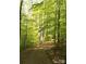 Walking trail with lush trees and shade creates a serene experience for hiking, walking, or running at 118 Kerr Walk Dr # 17, Statesville, NC 28677