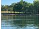Picturesque lake view showcasing the sandy shoreline and lush trees in a serene, natural setting at 14515 Nc Hwy 73 Hwy, Huntersville, NC 28078