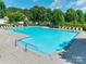 Spacious community pool with lounge chairs, set against a backdrop of lush trees and blue skies at 841 Lacebark Dr, Rock Hill, SC 29732