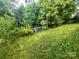 Lush backyard featuring healthy green grass, mature trees, and a planted garden box at 1025 N Sharon Amity Rd, Charlotte, NC 28211
