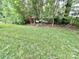 Lush backyard with mature trees and manicured grass at 1025 N Sharon Amity Rd, Charlotte, NC 28211