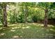 Lush backyard featuring tall mature trees and a sprawling green lawn at 110 Book Ct, Statesville, NC 28677