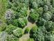 Aerial view of lush green trees, showcasing a natural and serene environment at 4636 Brown Creek Church Rd, Wadesboro, NC 28170