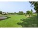 Spacious backyard with green grass, fire pit, mature trees, and a playground at 9008 Magna Ln, Indian Trail, NC 28079