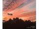 Vibrant sunset sky with wispy clouds contrasted by a dark treeline below at 10016 St Kitts Landing Ln, Charlotte, NC 28278