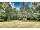 Picturesque yard with towering trees and charming storage shed at 2434 Olewoods Ct, Rock Hill, SC 29732