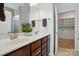 Bathroom featuring double sinks, dark wood cabinets, and a walk-in closet at 258 Cherrytree Dr, Fort Mill, SC 29715