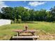 Backyard scene with a picnic table adorned with a vase of flowers, offering a serene outdoor space at 3113 Bouquet St, Charlotte, NC 28215