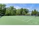 Well-maintained community tennis court surrounded by trees, offering a private and scenic playing experience at 317 Annatto Way, Tega Cay, SC 29708