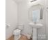 A simple bathroom featuring a white toilet, pedestal sink, and an octagonal mirror, offering a clean and functional space at 3512 Gibbon Terrace Ct, Charlotte, NC 28269