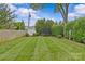 Expansive backyard with lush lawn, mature trees, a storage shed, and a trampoline for outdoor enjoyment at 2814 Glendale Rd, Charlotte, NC 28209