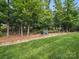 This backyard showcases a tranquil landscape featuring a rock lined creek bed flowing through the green grass at 1004 Fairbanks Ct, Indian Trail, NC 28079