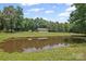 Scenic view of a pond with horses grazing in the background, offering a serene rural setting at 2291 Howell Rd, Midland, NC 28107