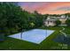 Outdoor basketball court next to the house with lighting for night games and playground at 2926 Crane Rd, Waxhaw, NC 28173