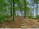 Wooded property featuring beautiful landscaping and a stone path at 9184 Greenwood Rd, Terrell, NC 28682