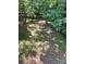 The property has a wooded backyard with abundant greenery, creating a scenic and peaceful environment at 2505 White Thorne Ln, Waxhaw, NC 28173