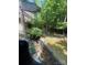Backyard area with lush greenery, mature trees, and room to enjoy the outdoors at 2505 White Thorne Ln, Waxhaw, NC 28173