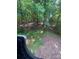 View of the peaceful wooded area behind the home, providing shade and privacy at 2505 White Thorne Ln, Waxhaw, NC 28173