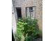 The outdoor brick courtyard features two windows and greenery to give it a relaxing aesthetic at 2505 White Thorne Ln, Waxhaw, NC 28173