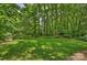 Lush backyard with mature trees offering privacy at 2600 Cloister Dr, Charlotte, NC 28211