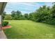 Vast backyard with a well-maintained lawn and ample greenery at 3537 Heather Ln, Gastonia, NC 28056