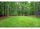 Expansive backyard with lush green lawn, mature trees, and a wooded backdrop creates a private outdoor space at 516 Amanda Dr, Weddington, NC 28104