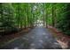 Long driveway leading to the home, surrounded by mature trees creating a sense of privacy and seclusion at 516 Amanda Dr, Weddington, NC 28104