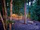 Scenic backyard view with a charming fire pit, shed, picnic table, and string lights at 8217 Lansford Rd, Charlotte, NC 28277