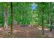 Enjoy the great outdoors in this wooded backyard featuring a cozy fire pit, shed, and ample seating at 8217 Lansford Rd, Charlotte, NC 28277