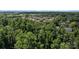 Aerial view of a neighborhood with mature trees providing shade, a community of homes, and lush greenery at 20324 Middletown Rd, Cornelius, NC 28031