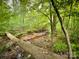 Property with scenic creek and beautiful views of nature and a fallen tree across the water at 3314 Mara Ct, Matthews, NC 28105