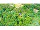 An aerial view of a home surrounded by lush greenery at 51 Emily Ln, Taylorsville, NC 28681
