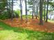 Tree-lined backyard with pine straw groundcover, providing a natural setting at 9139 Charminster Ct, Charlotte, NC 28269