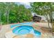 Backyard pool and hot tub surrounded by lush landscaping and greenery at 9202 Arlington Hills Dr, Mint Hill, NC 28227
