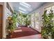 Sunroom featuring skylights, french doors, and lots of plant life at 217 S Ellis St, Salisbury, NC 28144