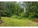 View of the backyard which is heavily wooded with plenty of room to explore nature at 223 Tennessee Trl, Lincolnton, NC 28092