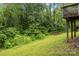 Beautiful backyard featuring lawn and woods with access to the home's wooden deck at 223 Tennessee Trl, Lincolnton, NC 28092