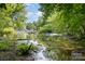Scenic lake view surrounded by mature trees and foliage, showcasing the property's natural beauty at 386 Squirrel Ln, Lake Wylie, SC 29710