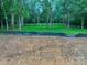 A beautiful backyard with lush greenery and mature trees provides a peaceful retreat at 32874 Old Salisbury Rd, Albemarle, NC 28001