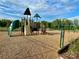 Community playground with various play structures, swings, and slides for Gathering fun at 5005 Blue Serenity Ct, Denver, NC 28037