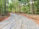 Raw land road leading into private wooded area at 770 Highway 274 Rd, Clover, SC 29710