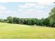 Expansive manicured backyard offers a flat area and wooded perimeter at 8340 Brief Rd, Mint Hill, NC 28227