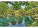 Calm pond surrounded by green trees, with a clear reflection of the sky at 2533 Stockbridge Dr, Charlotte, NC 28210