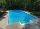 Backyard view of pool with concrete perimeter; surrounding landscape is heavily wooded at 1115 John Short Rd, Indian Land, SC 29707